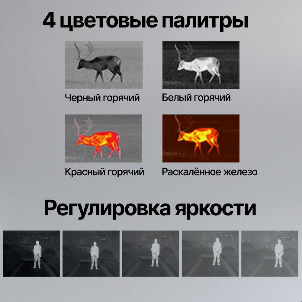 Arkon Ovis II SM25 вид 3